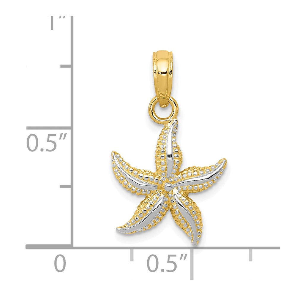 10K Gelb mit Rhodium 10K Seestern Charm