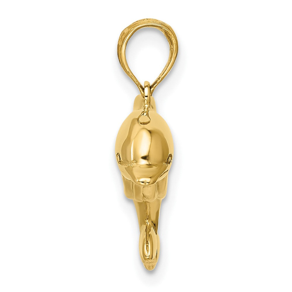 10K Gelbgold Delfin Anhänger