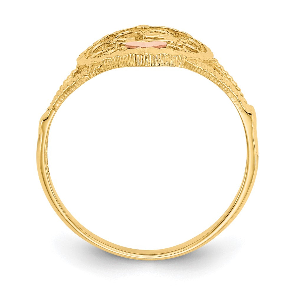 10K Bicolor 10K Diamantiert 15 Herz Ring