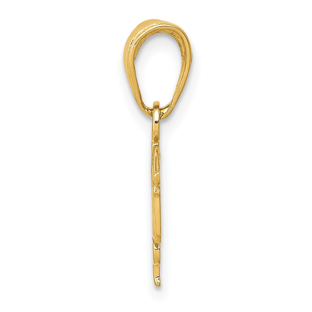 10K Gelbgold 10K Lpn Symbol Anhänger