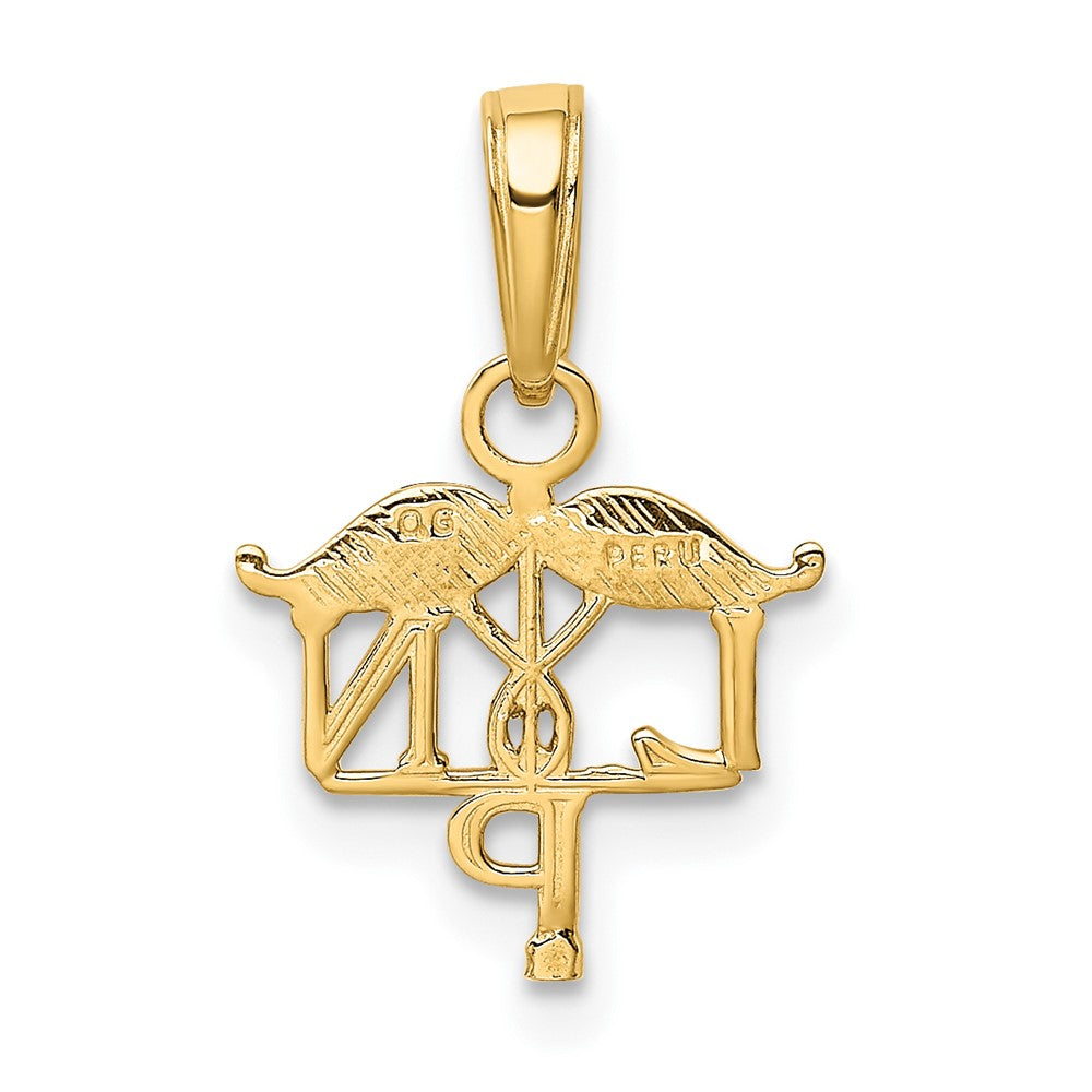 10K Gelbgold 10K Lpn Symbol Anhänger