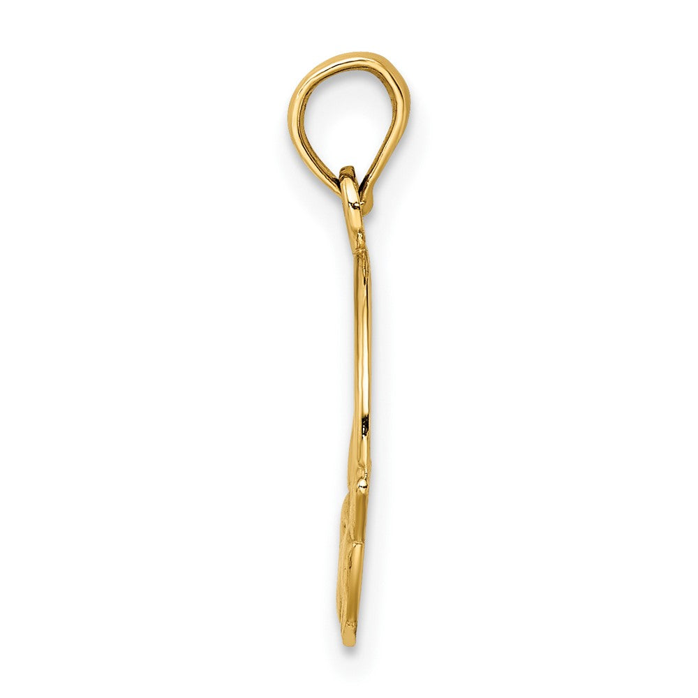 10K Gelbgold 10K Poliert Strukturiert Rund Claddagh Charm