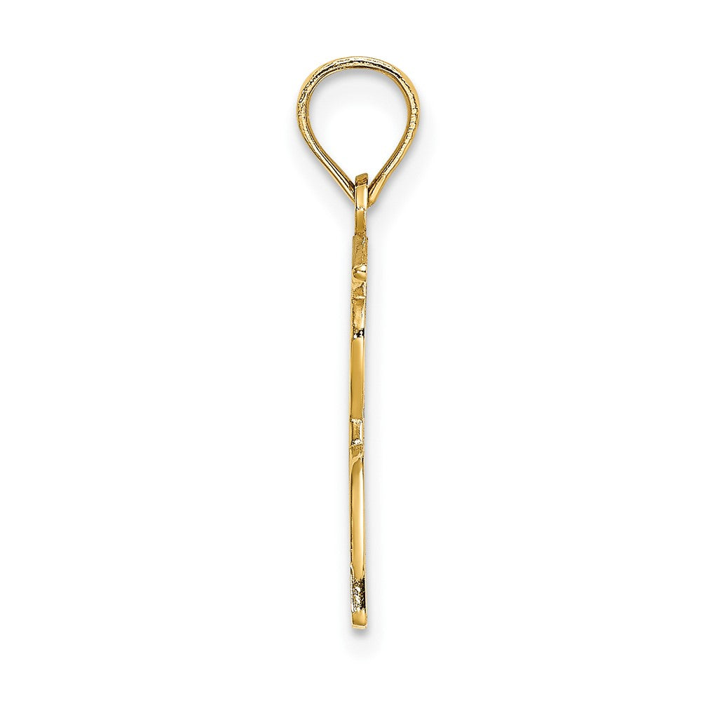 10K Gelbgold Poliert Male Abschluss Profile Charm