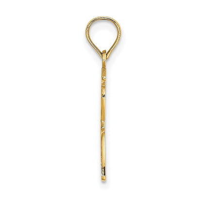 10K Gelbgold Poliert Male Abschluss Profile Charm
