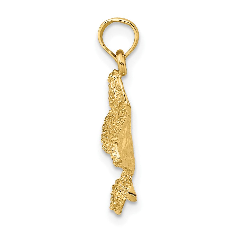 10K Gelbgold 10K Strukturiert Spotted Adler Ray Charm