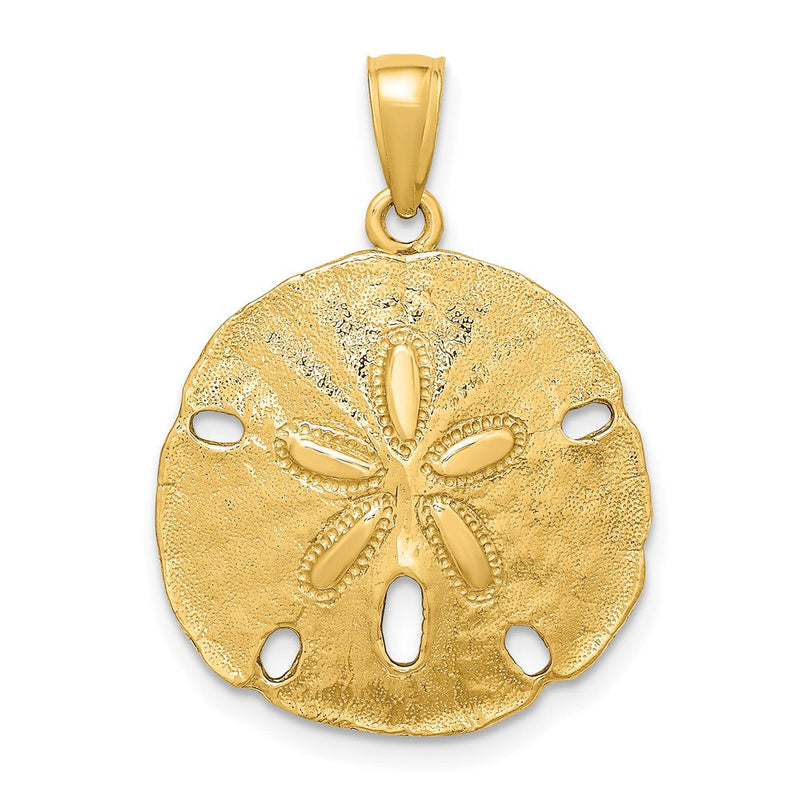10K Gelbgold 10K Poliert Sand Dollar Charm