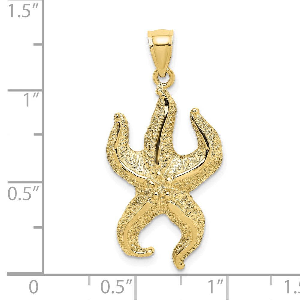 10K Gelbgold 10K Strukturiert Seestern Charm