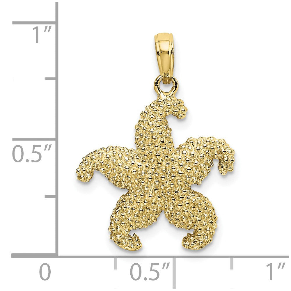 10K Gelbgold 10K 2-d Gewölbt Seestern Charm