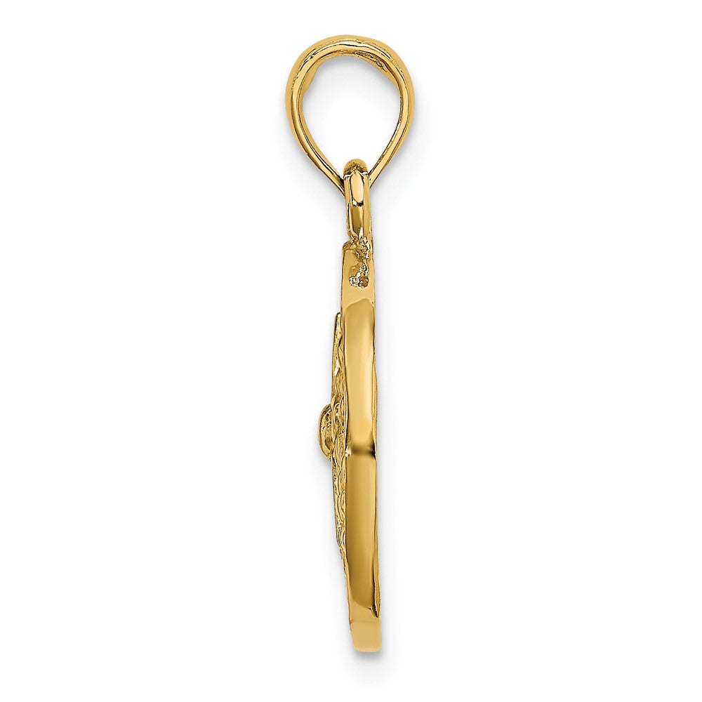 10K Gelbgold 10K 2-d Ausgeschnitten Sand Dollar Charm