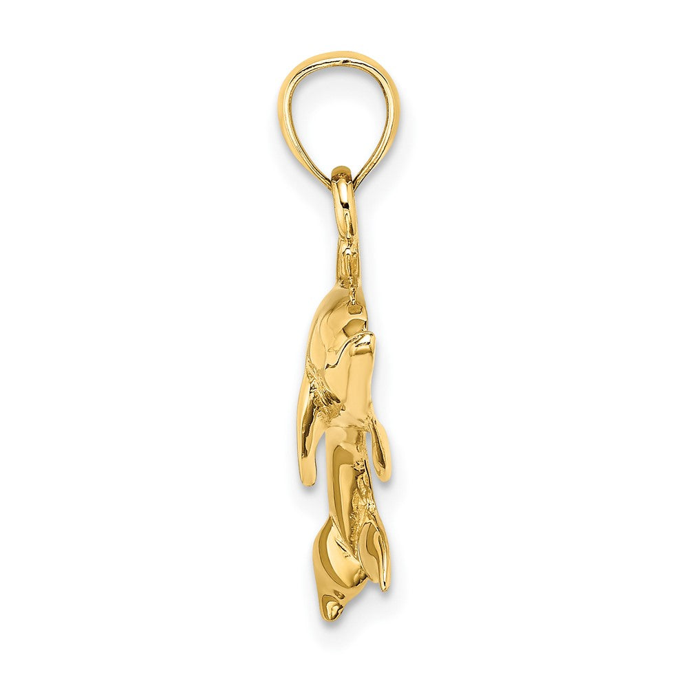 10K Gelbgold 10K 2-d und Poliert Swimming Delfin Charm