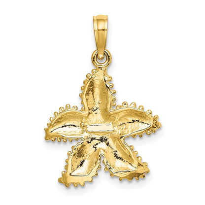 10K Gelbgold 10K Gekugelt Seestern Charm