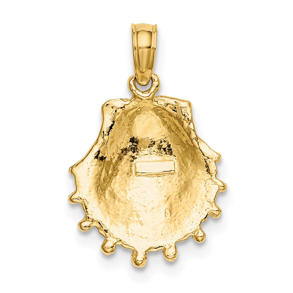 10K Gelbgold 10K Löwe Paw Muschel Charm