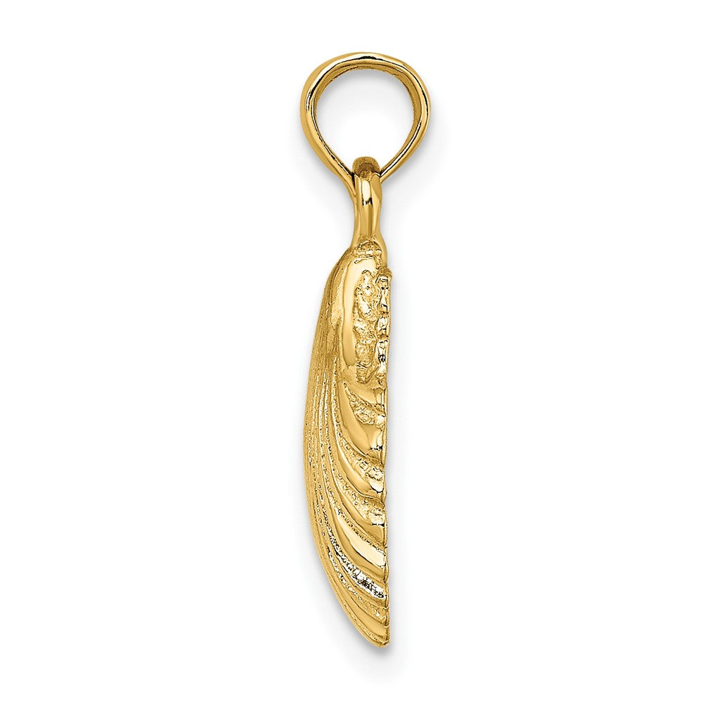 10K Gelbgold 10K Poliert Muschel Charm