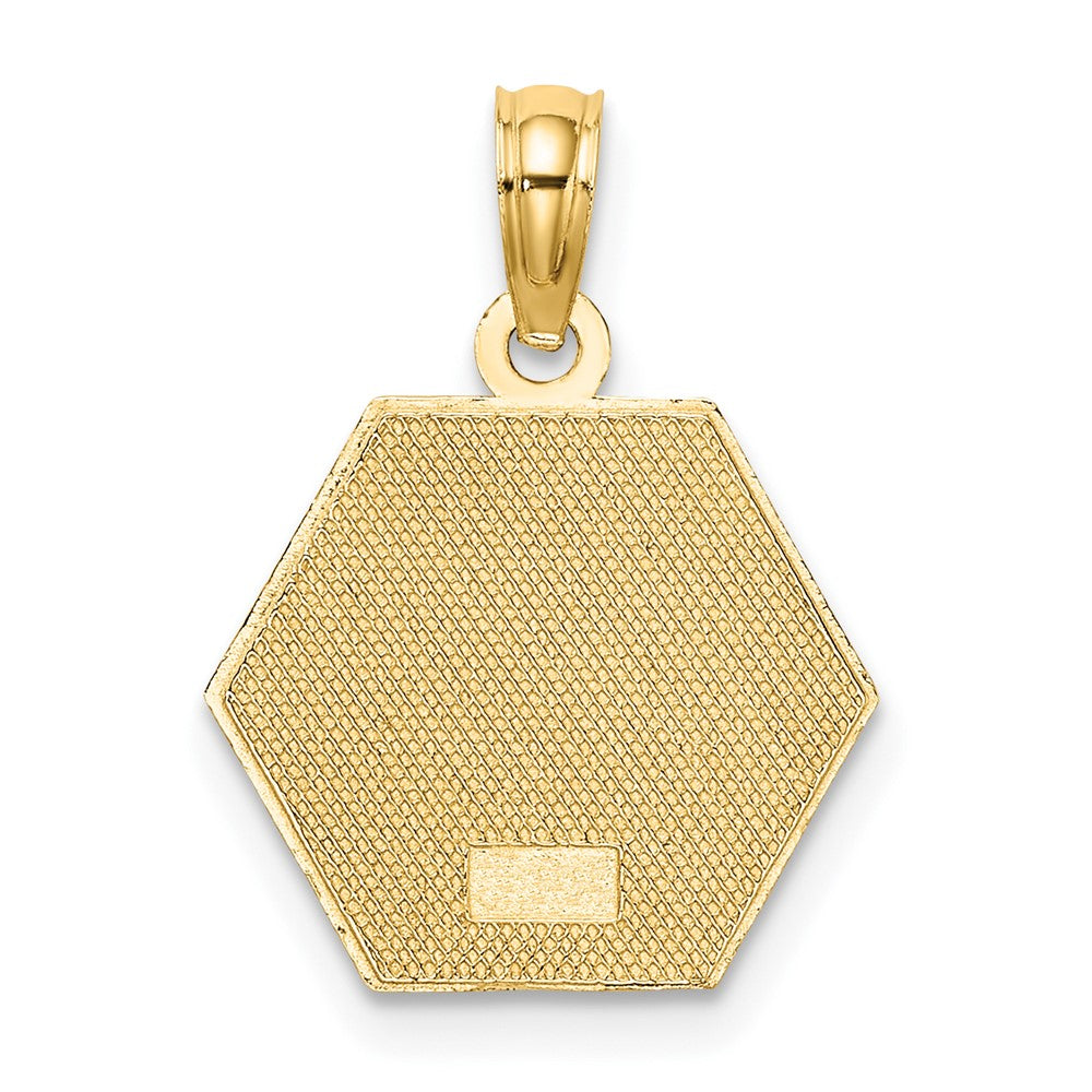 10K Gelbgold Medizinisch Plättchen Anhänger