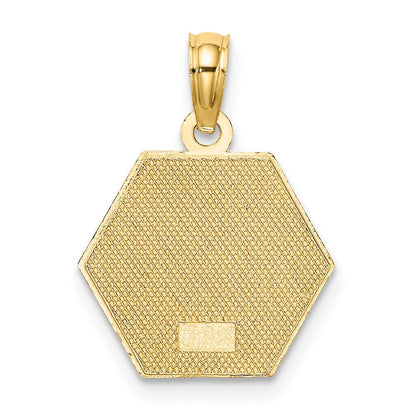 10K Gelbgold Medizinisch Plättchen Anhänger