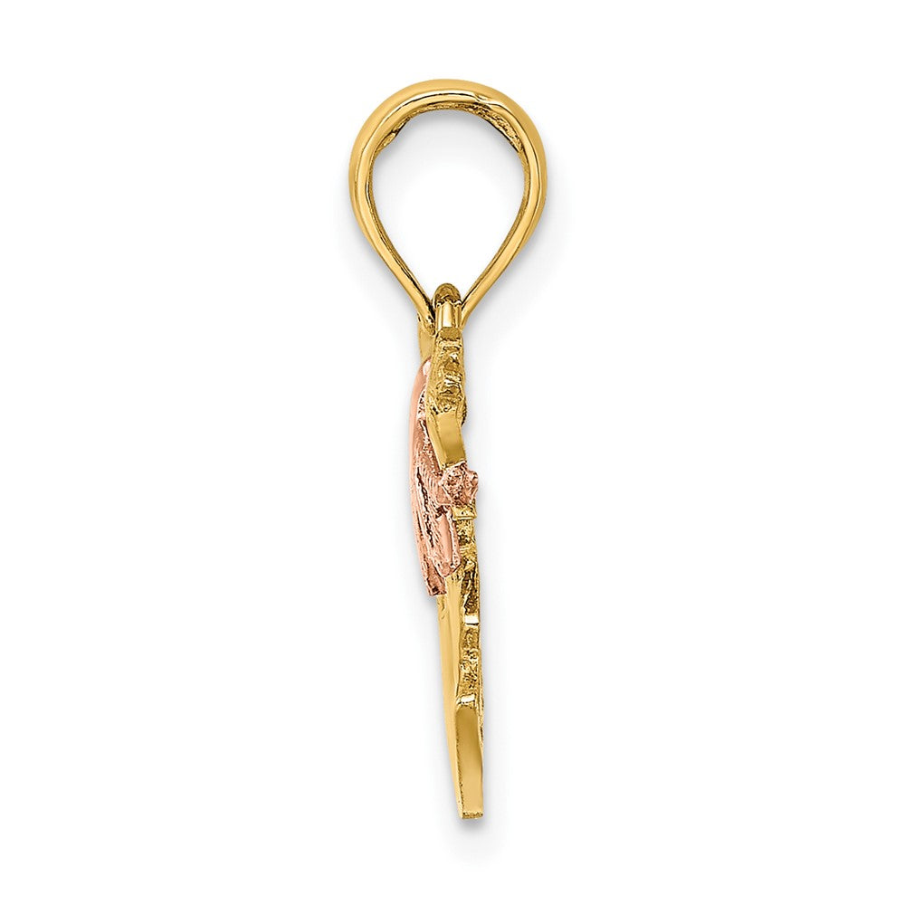 10K Bicolor 2-d Rocking Pferd mit Saddle Charm