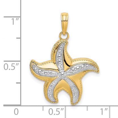 10K Gelb mit Rhodium 10K Diamantiert Poliert Seestern Charm