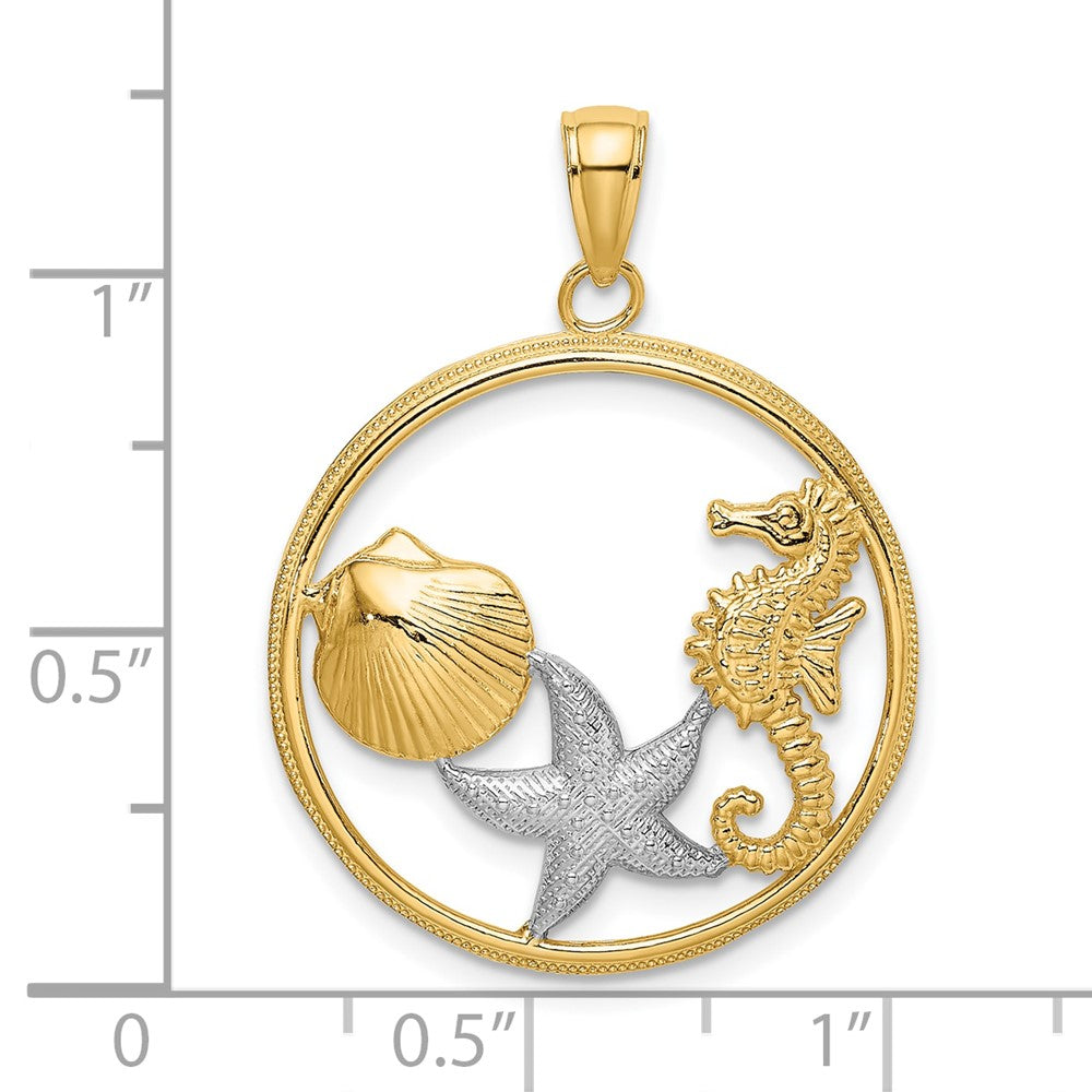 10K Gelb mit Rhodium Muschel, Seestern,seahorse Kreis Charm