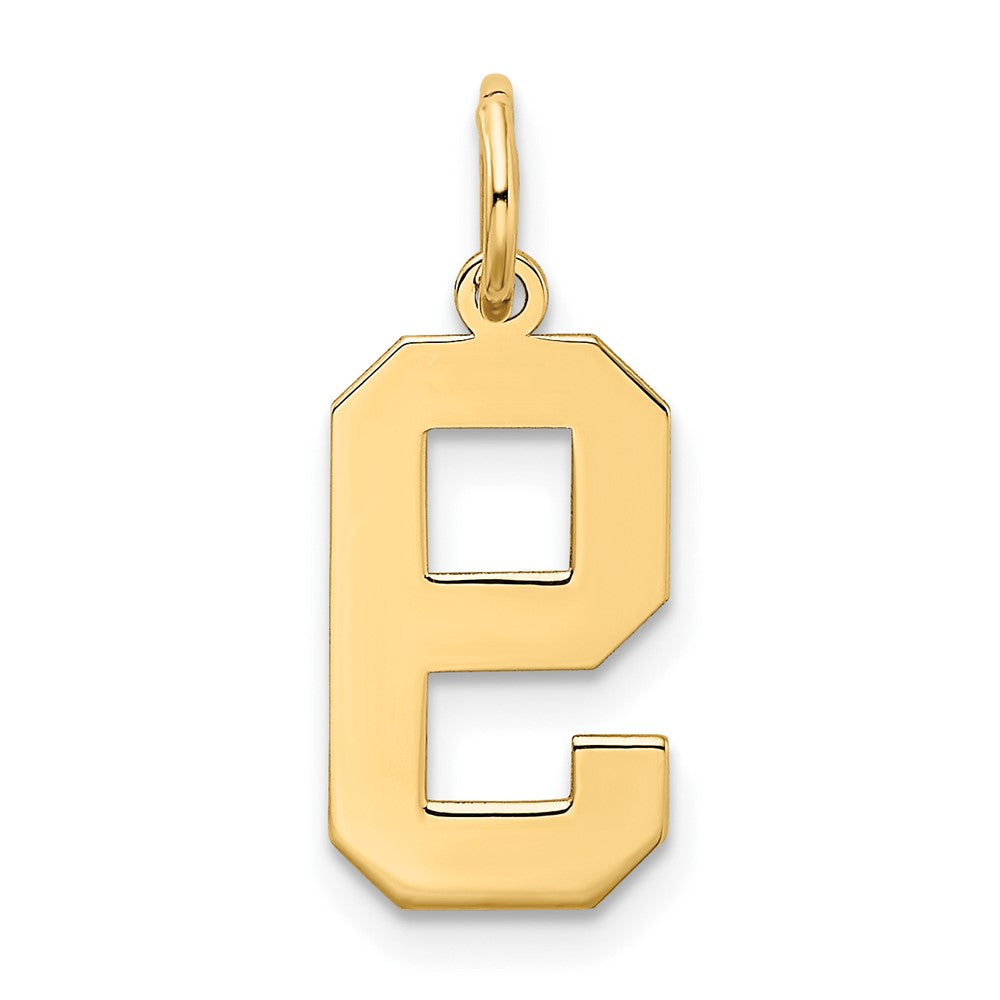 10K Gelbgold Mittel Satiniert Zahl 9 Charm