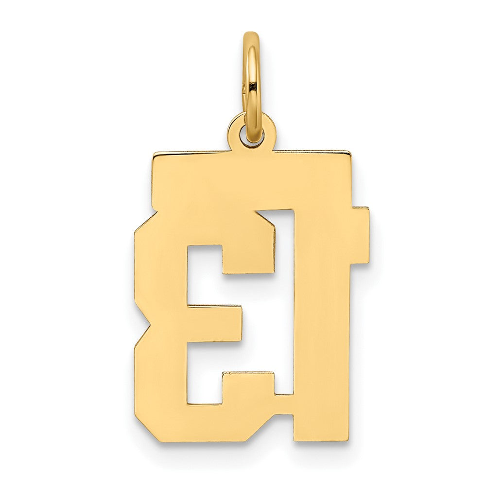 10K Gelbgold 10ky Klein Satiniert Zahl 13 Charm