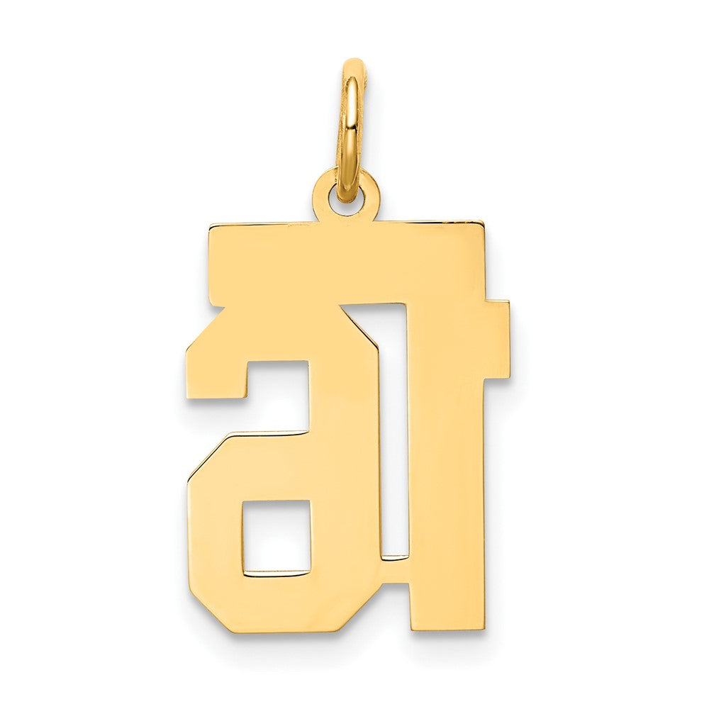 10K Gelbgold 10ky Klein Satiniert Zahl 16 Charm