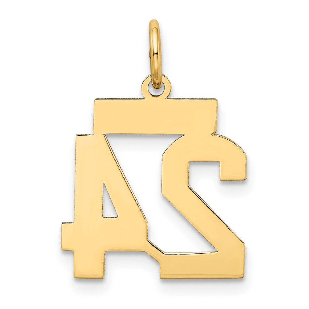 10K Gelbgold Klein Satiniert Zahl 24 Charm