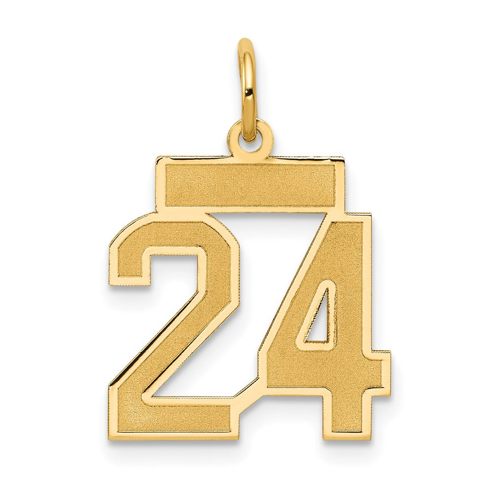 10K Gelbgold Klein Satiniert Zahl 24 Charm