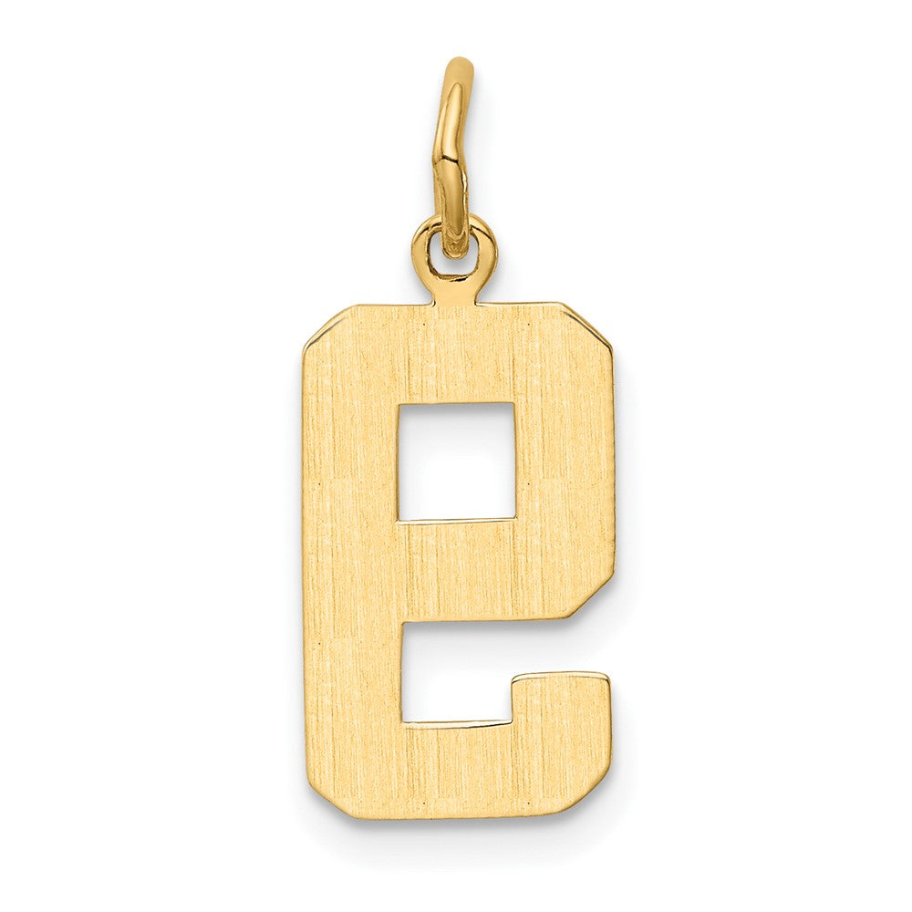 10K Gelbgold Mittel Poliert Zahl 9 Charm