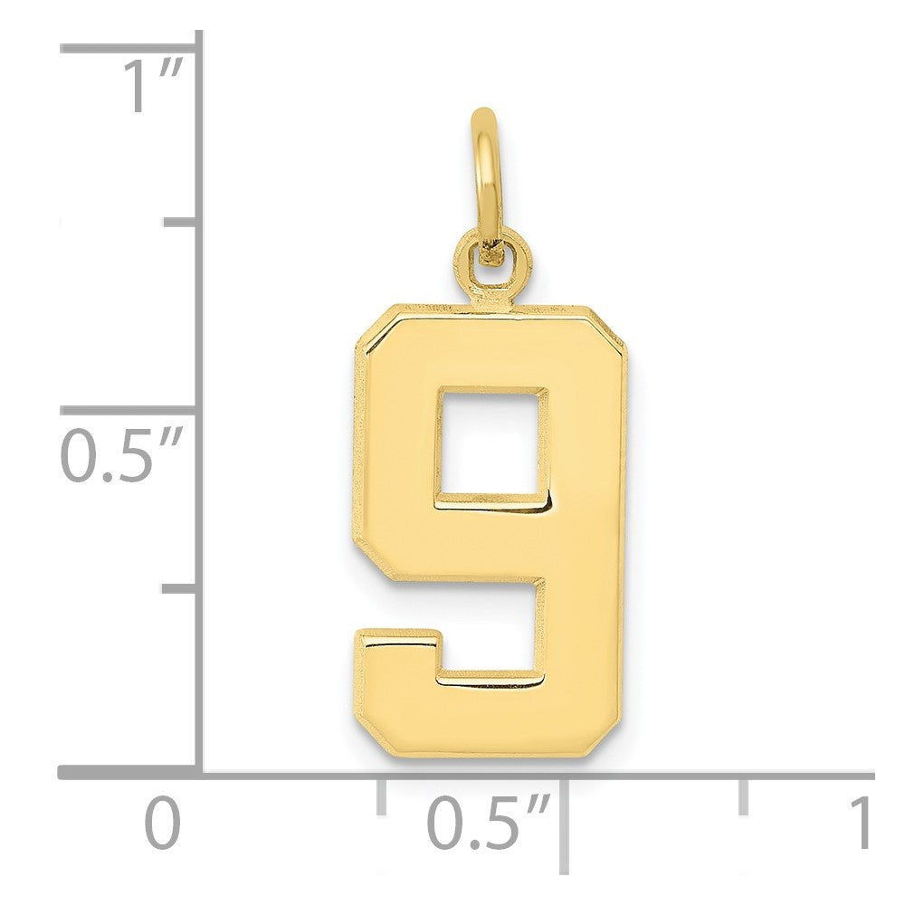 10K Gelbgold Mittel Poliert Zahl 9 Charm