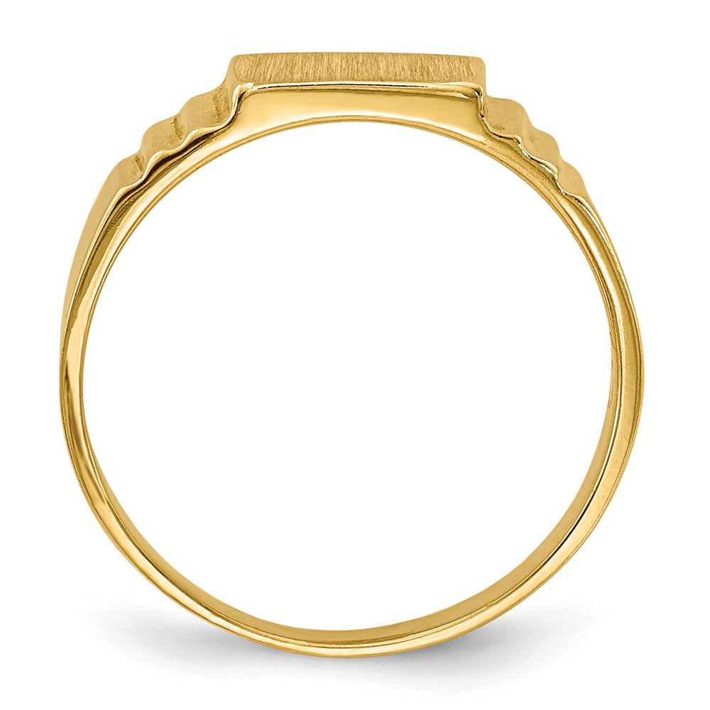 10K Gelbgold 10K Satiniert Rectangular Kind Siegel Ring