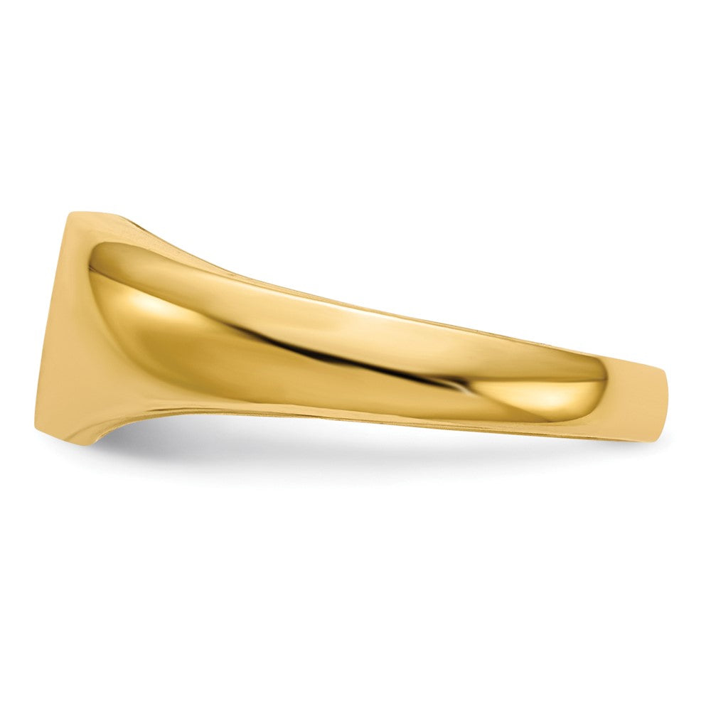 10K Gelbgold 10K Kind Aa Diamant Siegel Ring
