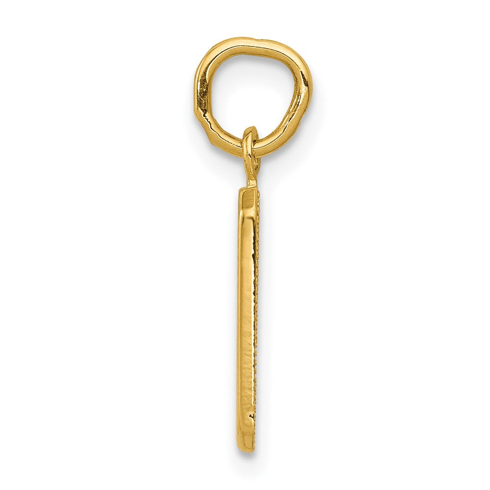 10K Gelbgold Klein Poliert Zahl 9 Charm