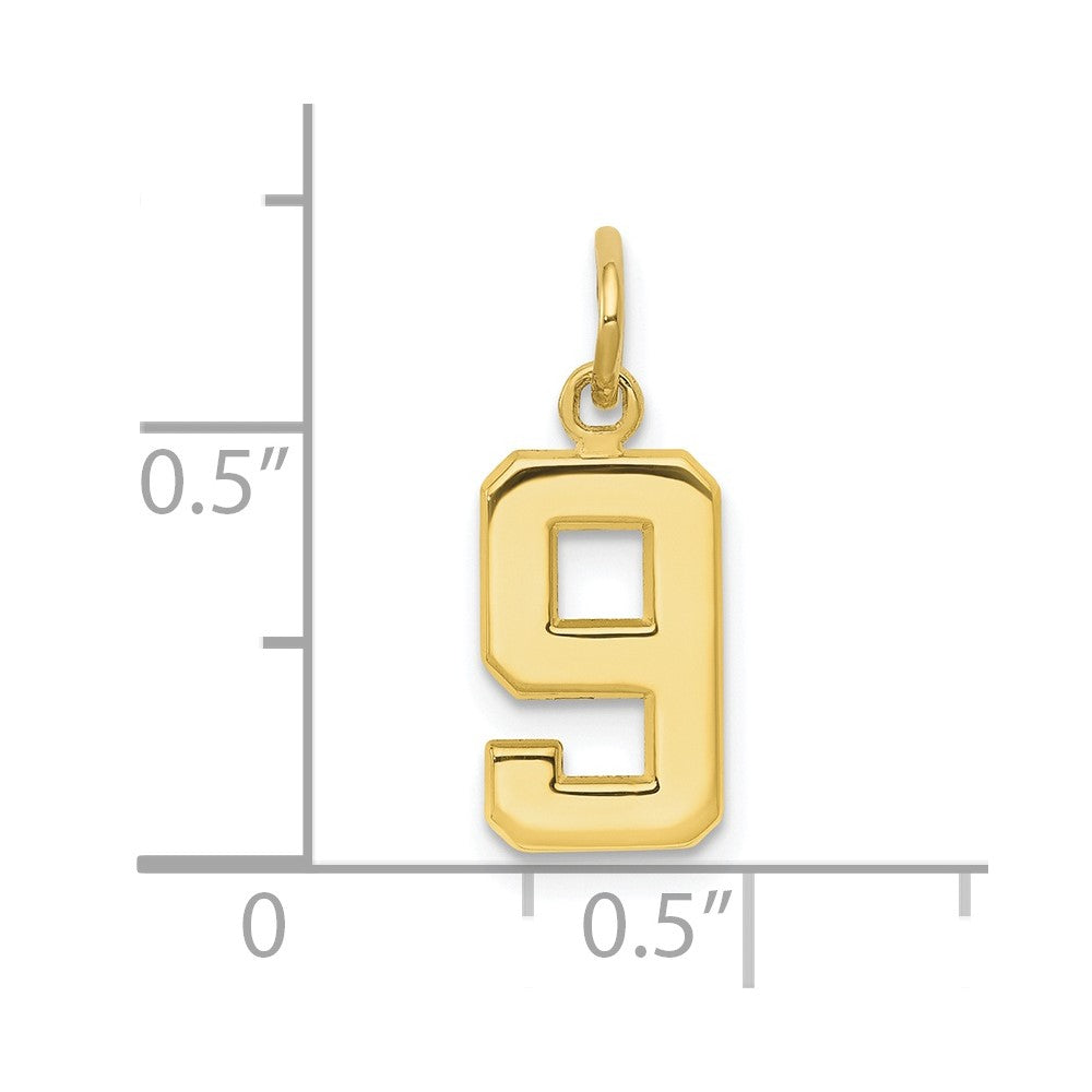 10K Gelbgold Klein Poliert Zahl 9 Charm