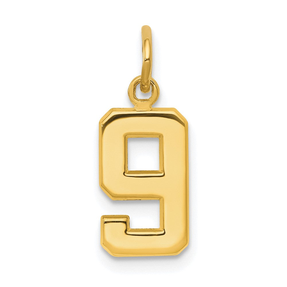 10K Gelbgold Klein Poliert Zahl 9 Charm