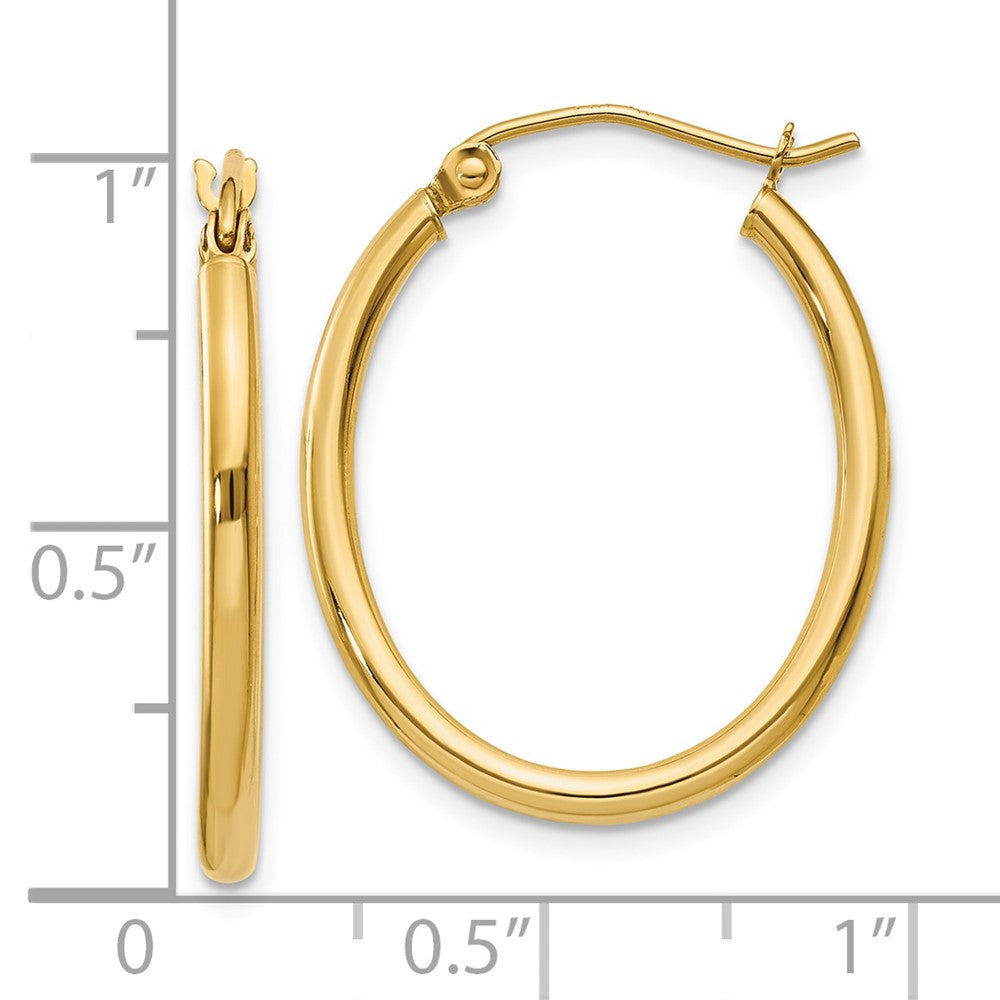 10K Gelbgold Oval Poliert Creole Ohrring