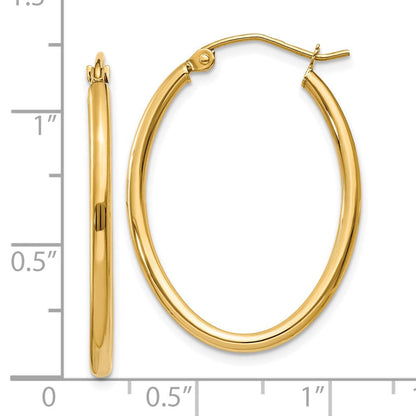 10K Gelbgold Oval Poliert Creole Ohrring