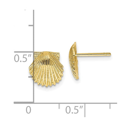 10K Gelbgold Muschel Ohrstecker