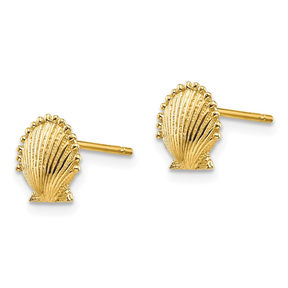 10K Gelbgold 10K Muschel Ohrstecker