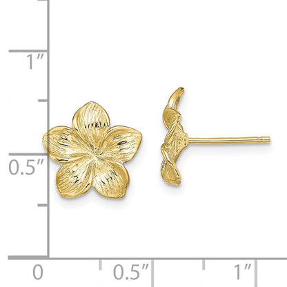 10K Gelbgold 10K Plumeria Blume Ohrstecker