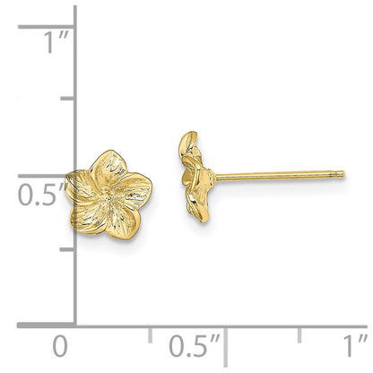 10K Gelbgold Plumeria Blume Ohrstecker