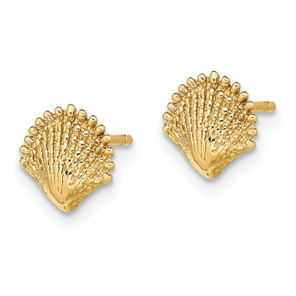 10K Gelbgold 10K Muschel Ohrstecker