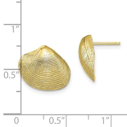 10K Gelbgold 10K Clam Muschel Ohrstecker