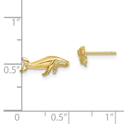 10K Gelbgold 10K Wal Ohrstecker