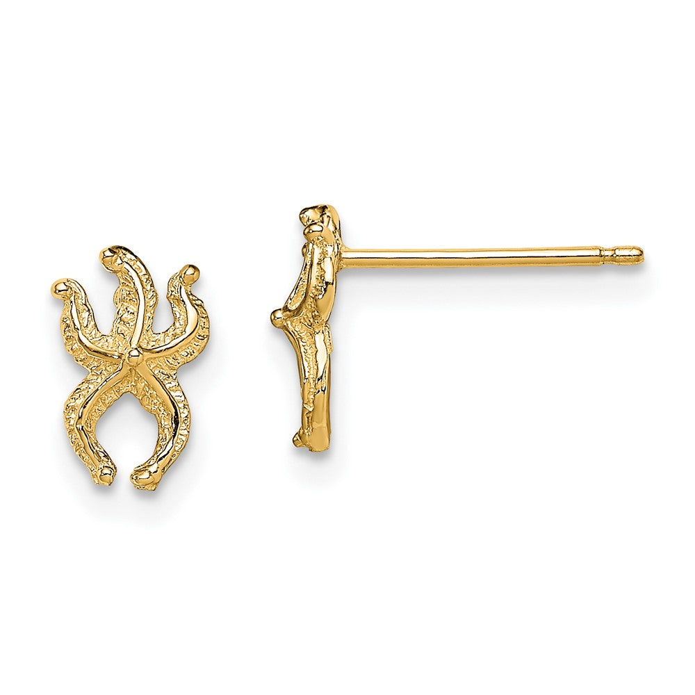 10K Gelbgold 10K Mini Seestern Ohrstecker