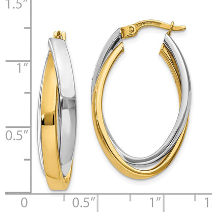 10K Bicolor Oval Creolen