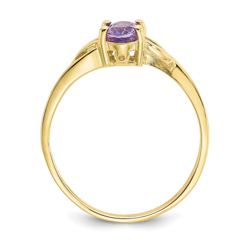 10K Gelbgold Ring mit polierter Oberfläche und echtem Amethyst-Geburtsstein
