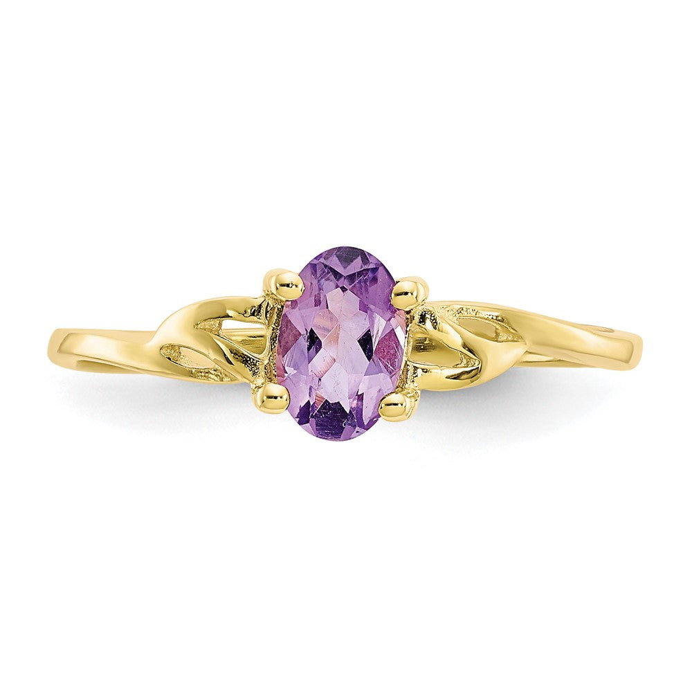 10K Gelbgold Ring mit polierter Oberfläche und echtem Amethyst-Geburtsstein