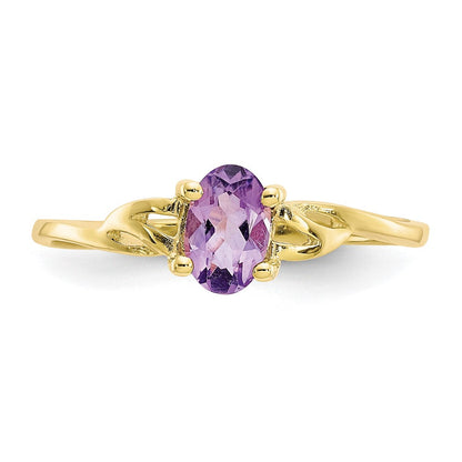 10K Gelbgold Ring mit polierter Oberfläche und echtem Amethyst-Geburtsstein
