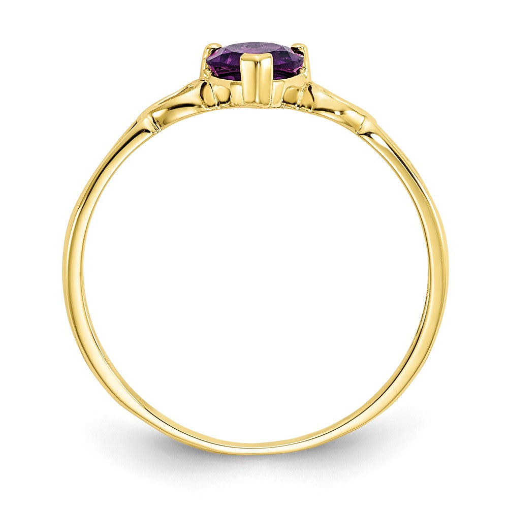 10K Gelbgold Ring mit poliertem echtem Amethyst-Geburtsstein