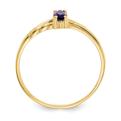 10K Gelbgold Ring, poliert, mit echtem Amethyst-Geburtsstein